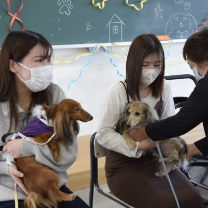 アニマルセラピー