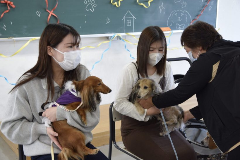 アニマルセラピー